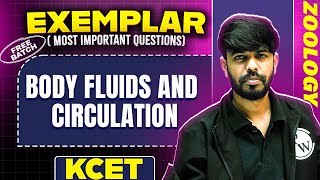 BODY FLUIDS AND CIRCULATION | Zoology | Exemplar + Most Important Questions | KCET 2025