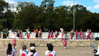 みちのくYOSAKOI祭り 総踊り『乱舞』　　　2011　姫路城応援フェス　1