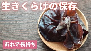 【生きくらげの保存】おいしく長持ち/きのこの保存/きのこの冷凍