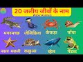 20 Water Animals Name In Hindi And English | पानी में रहने वाले जीवों के नाम | Water Animals
