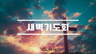 예일교회 Yeil Church \