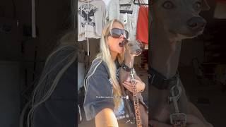 Ditl Golf Viral