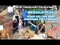 cara bersihkan pipa sumbat pasir