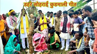 डहरे सोहराय । Sohrai Geet Kudmali | New Kudmali Ahira Geet | Dahre Sohrai Video - Kudmi 🌾💛