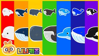 What color whale is it? | Rainbow whale | Animal Dinosaur Drawing | Shark? T-Rex? Scorpion? NINIkids