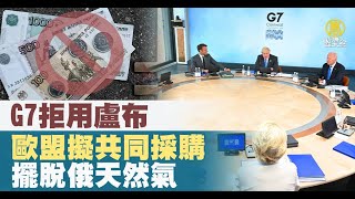 G7拒用盧布 歐盟擬共同採購擺脫俄天然氣