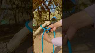 The Most Useful Knots | Learn In 10 Seconds | #lifehack #knottutorial #knots | KNOTiFY Pro