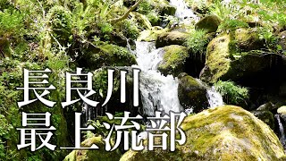 【ぎふ・音の葉】ひるがの高原の長良川最上流部（郡上市高鷲町）