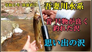 令和５年 渓流釣り 吾妻川水系   昔尺物の良く釣れた思い出の沢