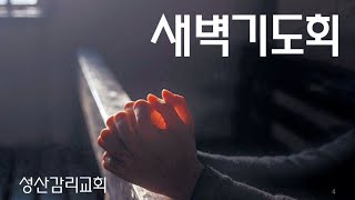 2024.11.10 주일에배(2부)/하박국 감사 합3:16~19