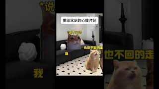 重组家庭的心酸时刻 #猫meme #cat #喵不可言 #猫meme小剧场 #喵 #shorts #家庭 #离异 #父母 #孤独