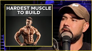 The HARDEST MUSCLE to DEVELOP