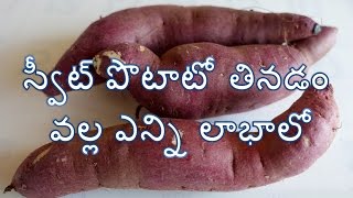 sweet potato(మొగరం గడ్డ ) health benefits||స్వీట్ పొటాటో వల్ల ఎన్ని లాభాలో ||by pumar health telugu