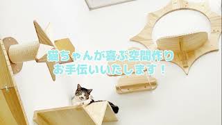 MYZOOキャットステップ販売開始！　ねこ　愛猫　ねこのための空間づくり　マイズー　ペットリフォームならセラフ榎本　愛犬家住宅　愛猫家住宅　埼玉県　東京都　神奈川県　千葉県　茨城県　＃shorts