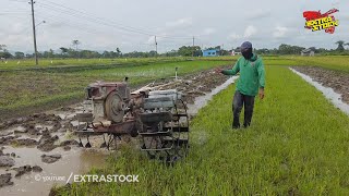 Dengan Singkal Yang Bagus Traktor Quick Bisa Jalan Nyingkal Sendiri Seperti Traktor Remot