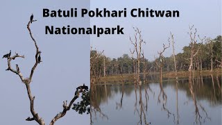 Batuli Pokhari Lake , Chitwan National Park बटुली पोखरी चितवन