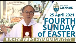 Catholic Mass Today 4th Sunday Of Easter 11 May 2025 Bishop Greg