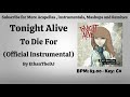 Tonight Alive - To Die For (Official Instrumental)