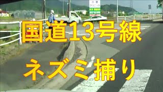 今週のドラレコ動画#13　R13でのネズミ捕りです。