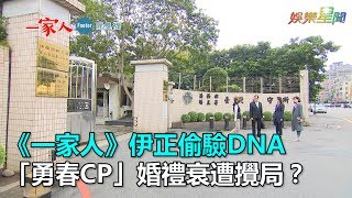 《一家人》伊正偷驗DNA　「勇春」婚禮遭攪局？｜三立新聞網SETN.com