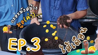 เกษตรออนไลน์ by พิพิธภัณฑ์การเกษตรฯ | กะละมังสร้างมูล (ค่า) ไส้เดือน EP.3