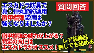 真・弾丸節約徹甲榴弾ヘビィボウガン　エスカドラ防具で威力が上がる？オススメ装備３種類紹介　ＭＨＷＩＢモンハンワールドアイスボーン