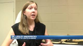 University of South Alabama professor studies vampire bones - LOCAL 15 News, WPMI