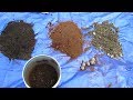 A Basic Container Garden Soil Mix: Number 1 Mistake,  Making a Mix, Drainage & Planting Potatoes