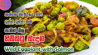 සැමන් මිශ්‍ර තිබ්බටු බැදුම | Wild Eggplant With Salmon | Thibbatu Baduma | Sithu Nethu