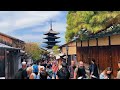 kyoto cultural capital of japan hokan ji temple yazaka pagoda fushimi inari shrine bamboo