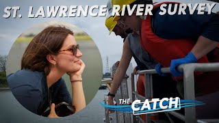 St. Lawrence River Survey | The Catch | Great Lakes Now