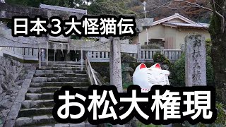 【徳島県 お松大権現】猫神様【阿南市加茂町】