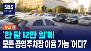 '한 달 12만 원'에 모든 공영주차장 이용 가능…어디? / SBS / 뉴스딱