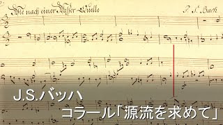 【パイプオルガン】J.S.バッハ - コラール「源流を求めて」BWV1119 【バロック】演奏 - 冨田一樹 J.S.Bach / Org - Kazuki Tomita