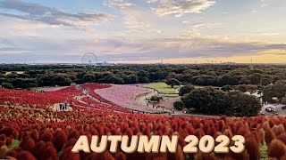 HITACHI SEASIDE PARK || AUTUMN 2023 || JAPAN TRAVEL || 4K