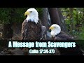 How do the gathering of eagles show us a sign? (Luke 17:34-37)