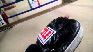 TITLE Boxing Cobra Micro-Mitts Review 6 Month Use