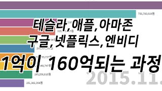 1억이 160억되는 과정 테슬라,애플,아마존,구글,넷플릭스,엔비디아 나스닥 10년 1억 투자결과