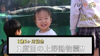 1歳半の「上野動物園」。生後6ヶ月からのリベンジ！今度は楽しめるかな。