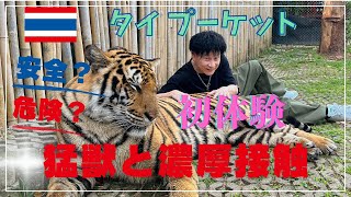 【タイ】プーケット　タイガーキングダムで猛獣と濃厚接触!!　初体験♥