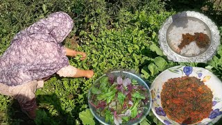 WOUSTE HAAKH/PAALAK/red spinach/spinach/kashmiri style/delicious food/cooking with asma