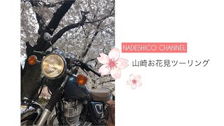 【お花見】SRで桜の名所山崎川へ行ってきたよ！