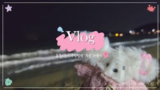 Vlog | 솜뭉치들의 우당탕탕 부산 나들이 ⛄️ | 말티즈들의 1박2일 겨울 여행 ❄️