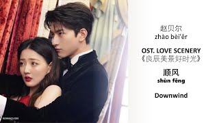 Downwind 顺风 shùn fēng by zhào bèi ěr 赵贝尔  LOVE SCENERY OST《良辰美景好时光》 [CHN|PINYIN|ENG Lyrics]