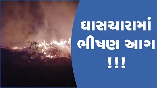 કેશોદના મેસવાણ ગામે પશુના ઘાસચારામાં ભીષણ આગ