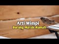 Arti Mimpi Burung Masuk Rumah