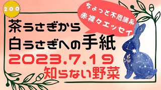 茶うさぎから白うさぎへの手紙 2023「193. みんな幸せがいい」