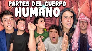 Así es el cuerpo humano por dentro / Recopilación cuerpo humano