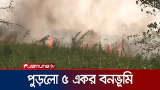 সুন্দরবনের আমুরবুনিয়ায় অগ্নিকাণ্ডে পুড়লো ৫ একর বনভূমি | Khulna Forest Brief | Jamuna TV