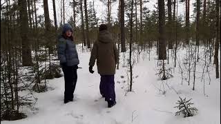 Следы йети. Traces of bigfoot. Следы снежного человека. Следы сасквоча. Sasquatch real traces.